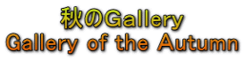Ĥfer Gallery of the `utumn 