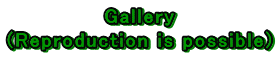 Gallery (Reproduction is possible)